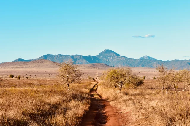 Tsavo National Park Safari